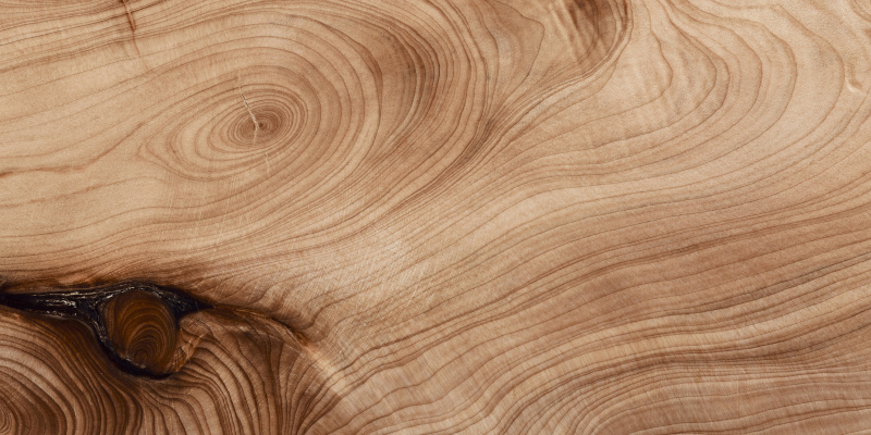 Heartwood 101
