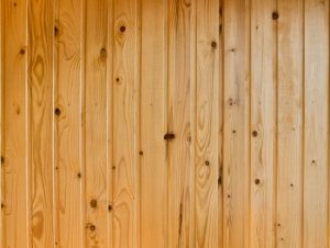 5 Fun Facts About Knotty Pine